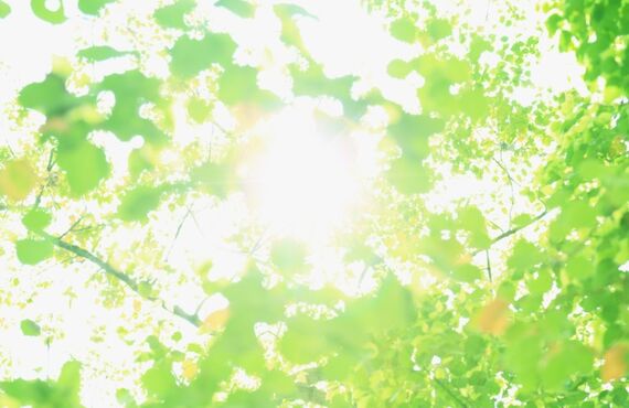 エラはりに特化した小顔矯正｜自由が丘　Salon del Sol【サロンデルソル】
